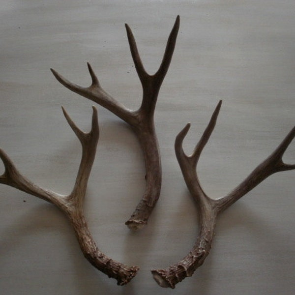 Three eye catching natural deer antlers design decor lamps crafts art centerpiece gift
