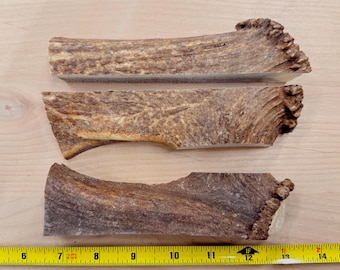 Elk Antler Chews for Dogs, Natural Split Antler (6", 1 quantity)