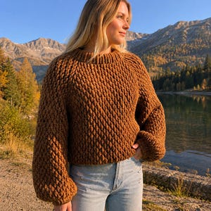 Può includere: Un maglione marrone a maglia testurizzata con girocollo e maniche lunghe. Il maglione è indossato con jeans azzurri. Lo sfondo presenta un lago, montagne e alberi.