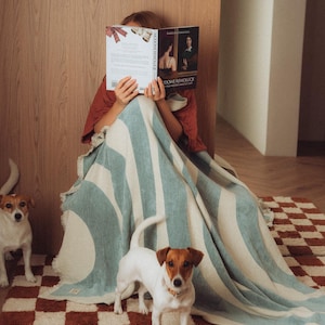 May include: A person seated, reading a book, covered by a blue and white striped blanket. Two Jack Russell Terriers are in the foreground, and a checkered rug is on the floor.
