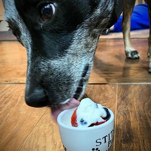 Dog eating from a personalized white pup cup with whipped cream and a blueberry