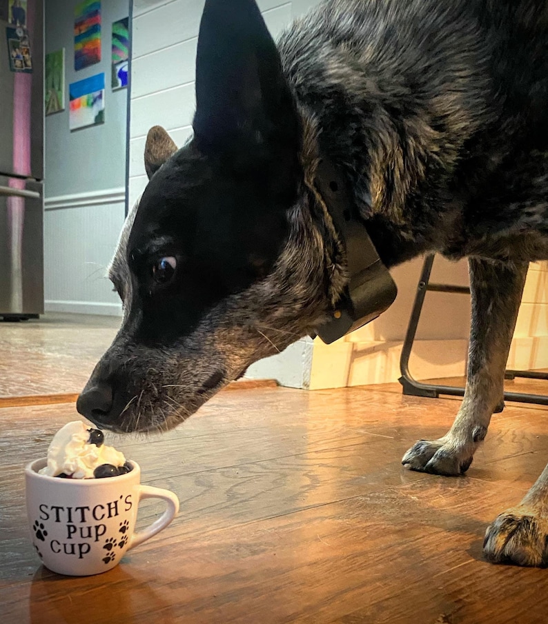 Dog eating from a personalized white pup cup with whipped cream and a blueberry