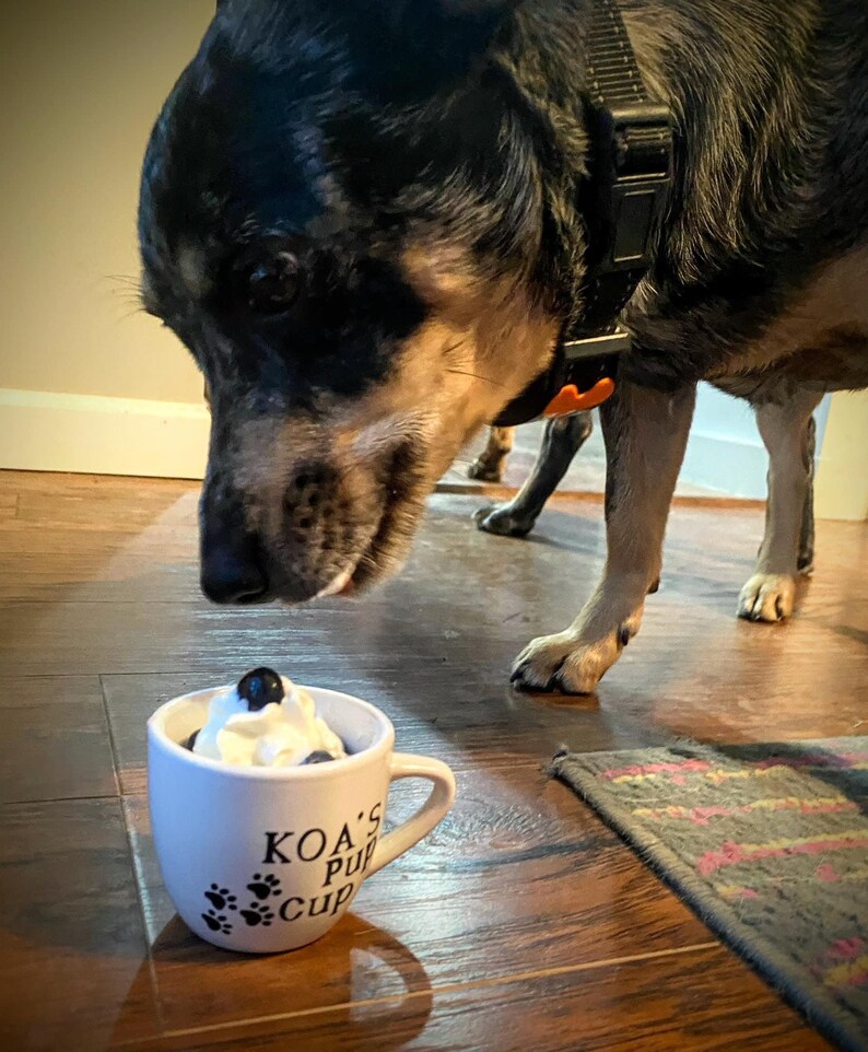 Dog eating from a personalized white pup cup with whipped cream and a blueberry