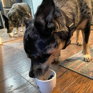 Dog eating from a personalized white pup cup with whipped cream and a blueberry