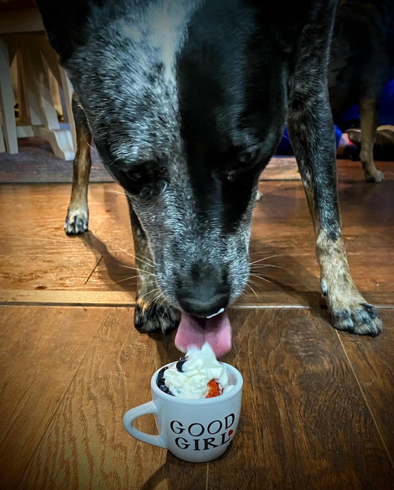 Dog eating from a personalized white pup cup with whipped cream and a blueberry