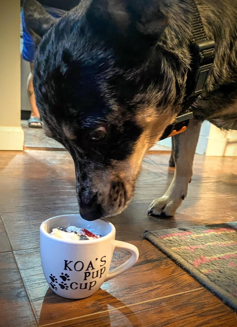 Dog eating from a personalized white pup cup with whipped cream and a blueberry