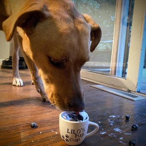 Dog eating from a personalized white pup cup with whipped cream and a blueberry