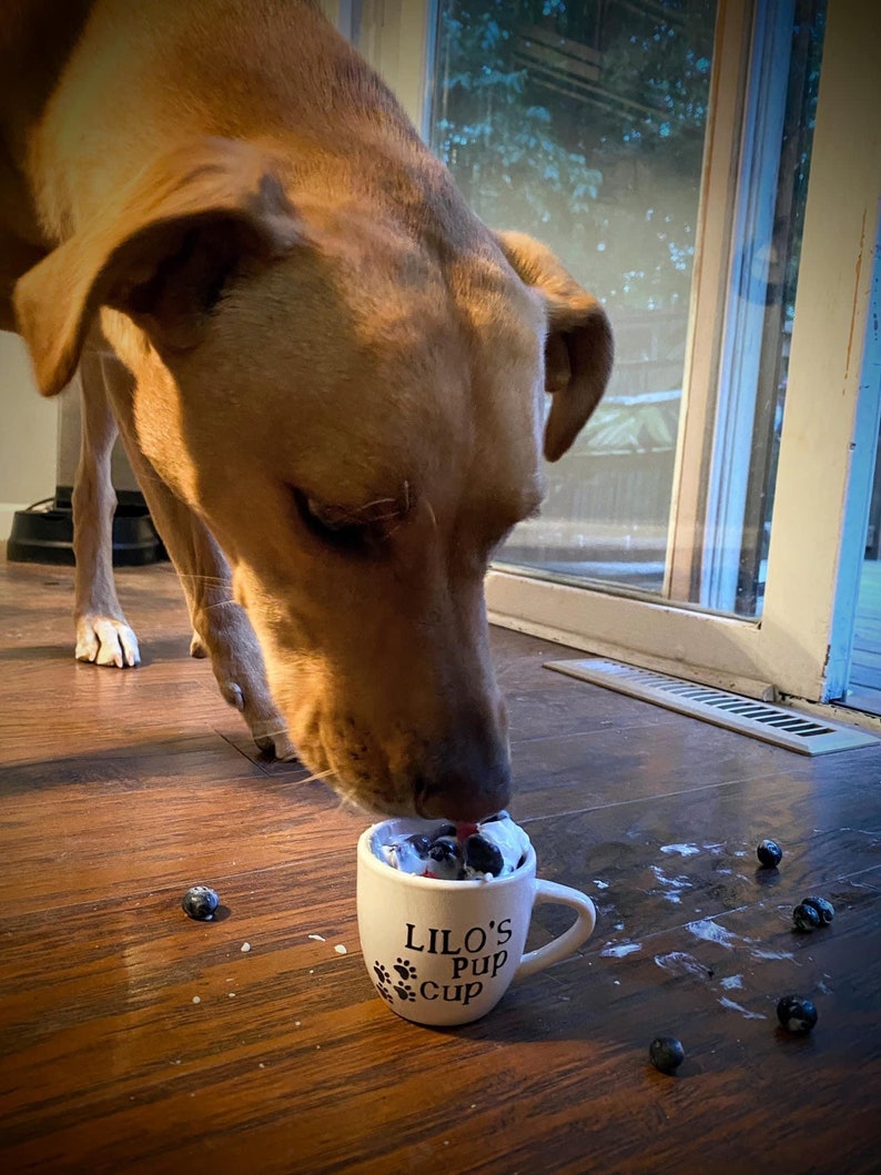 Dog eating from a personalized white pup cup with whipped cream and a blueberry