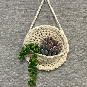 Beige Crochet Succulent Holder: Air Plant Holder for Home Decor