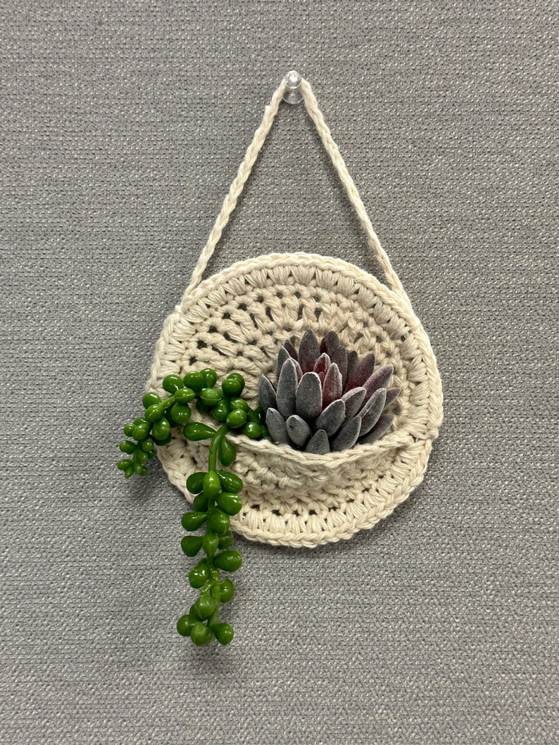 Beige Crochet Succulent Holder: Air Plant Holder for Home Decor