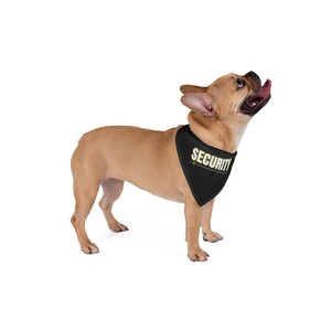 May include: A tan French Bulldog wearing a black bandana with the word "SECURITY" in white and yellow lettering. The dog is looking upwards with its tongue out, set against a white background.