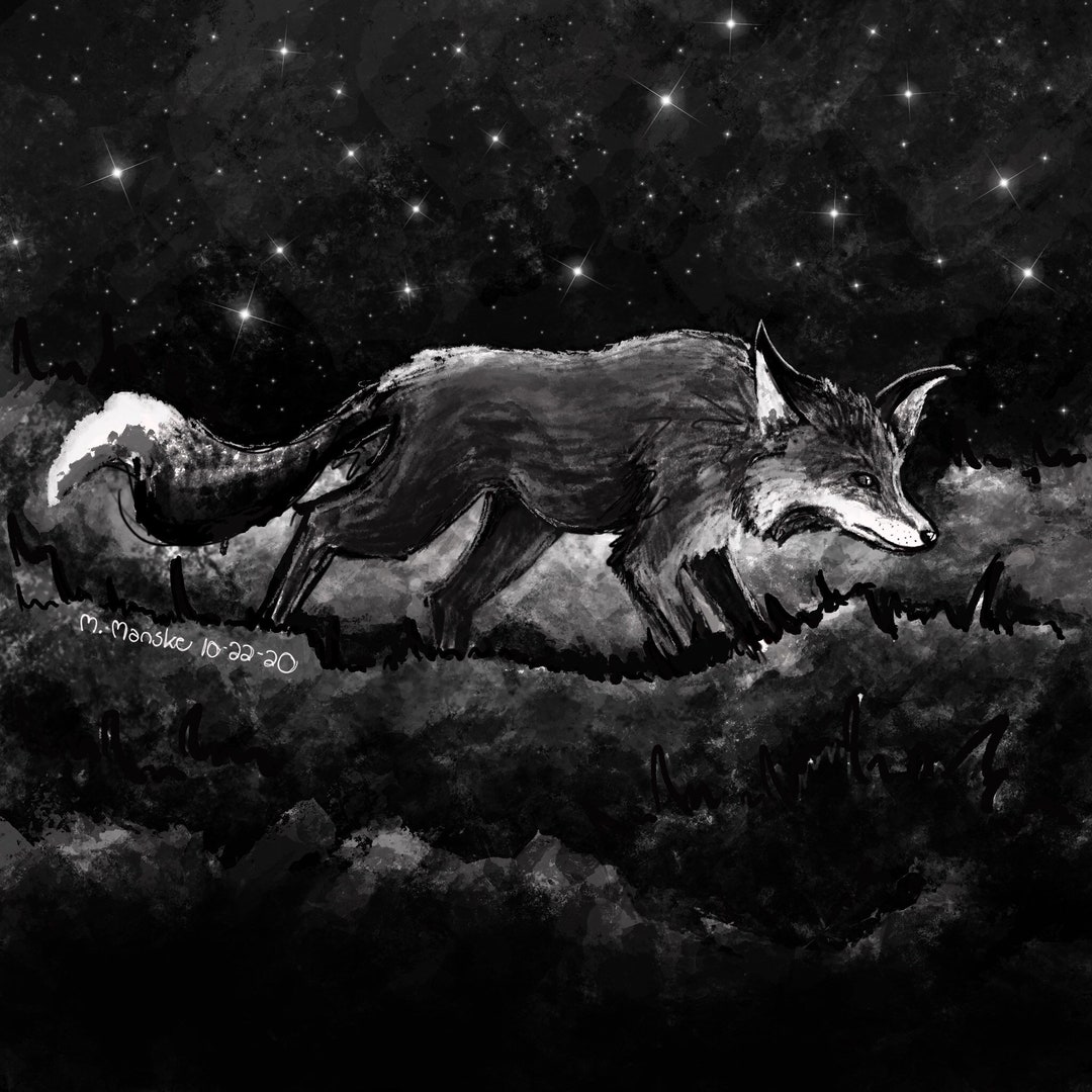 Starry Night Fox Art Print - Etsy