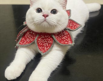 May include: A white cat wearing a red and gray crocheted flower collar. The cat has light blue eyes and is lying down, looking upwards. The collar is made of red petals with white stitching and gray edging.