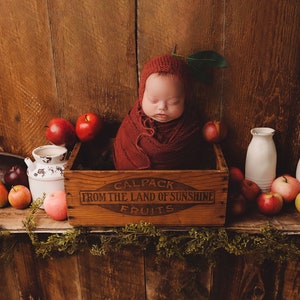 Newborn digital Apple theme