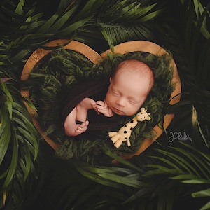 Jungle digital backdrop for newborn with Giraffe