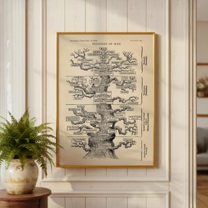 Tree of Life Wall Art | Ernst Haeckel | Evolution Natural History Print