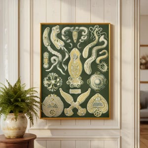 May include: A framed vintage botanical print displaying detailed illustrations of various sea creatures in cream and gold hues against a dark green backdrop. The print is enclosed in a gold frame, adding a touch of elegance to the scientific artwork.