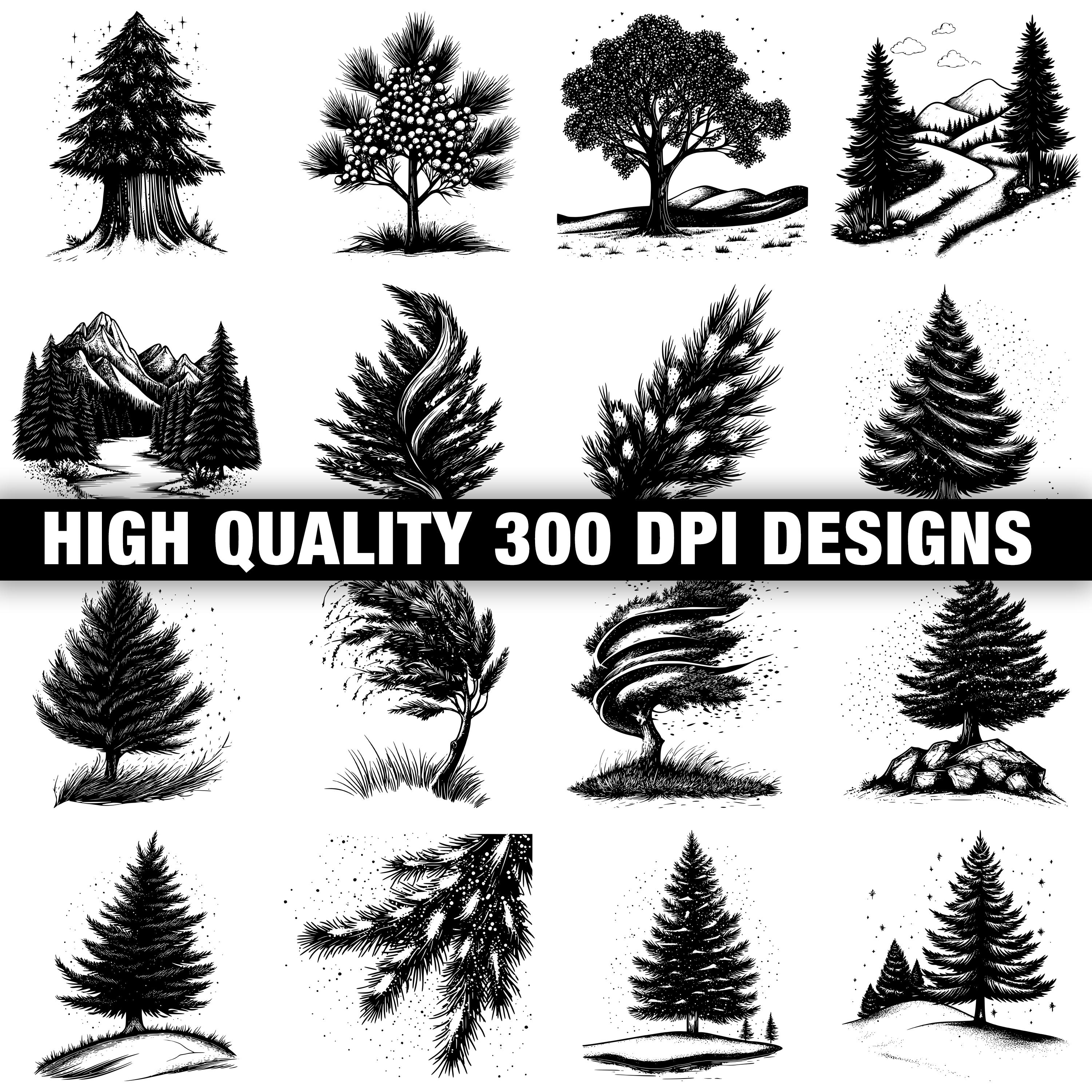 117+ Cedar Tree Svg, Png, Dxf, Eps Designs Bundle | Instant Digital ...