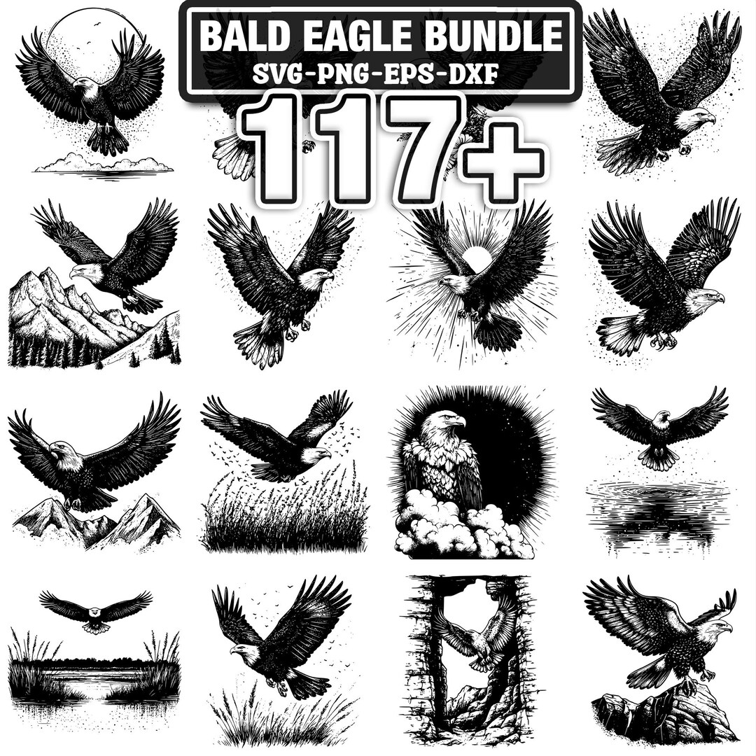 117+ Bald Eagle Svg, Png, Dxf, Eps Designs Bundle | Instant Digital ...