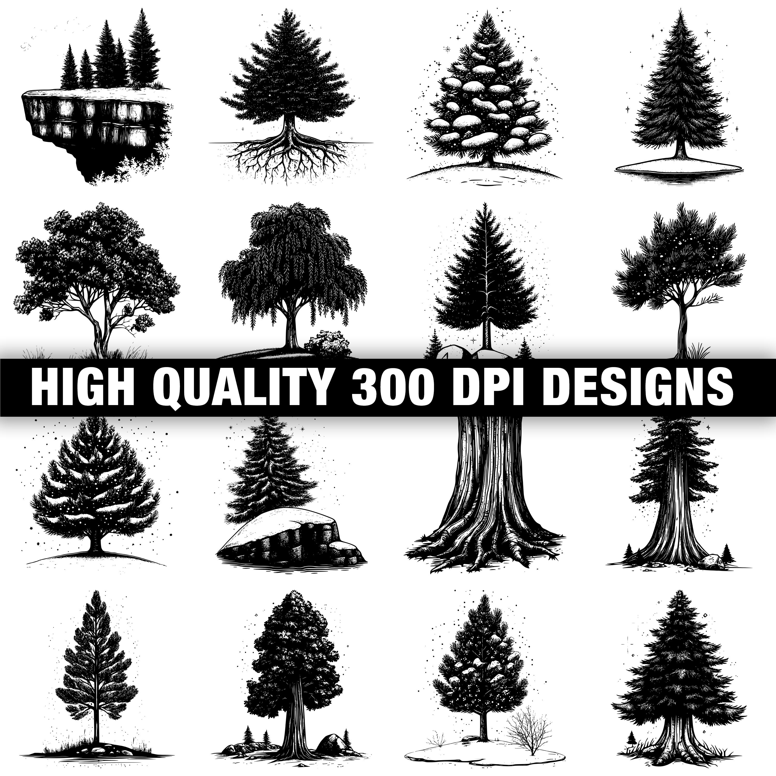 117+ Cedar Tree Svg, Png, Dxf, Eps Designs Bundle | Instant Digital ...