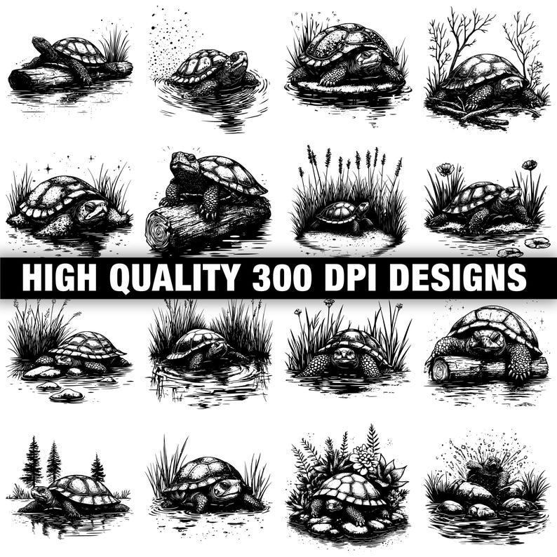 Snapper Turtle Dxf 117+ American Snapping Turtle Svg, Png, Dxf, Eps Designs Bundle ...