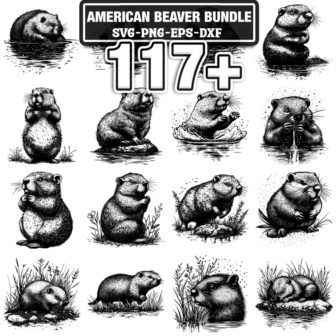 117+ American Beaver Svg, Png, Dxf, Eps Designs Bundle | Instant ...