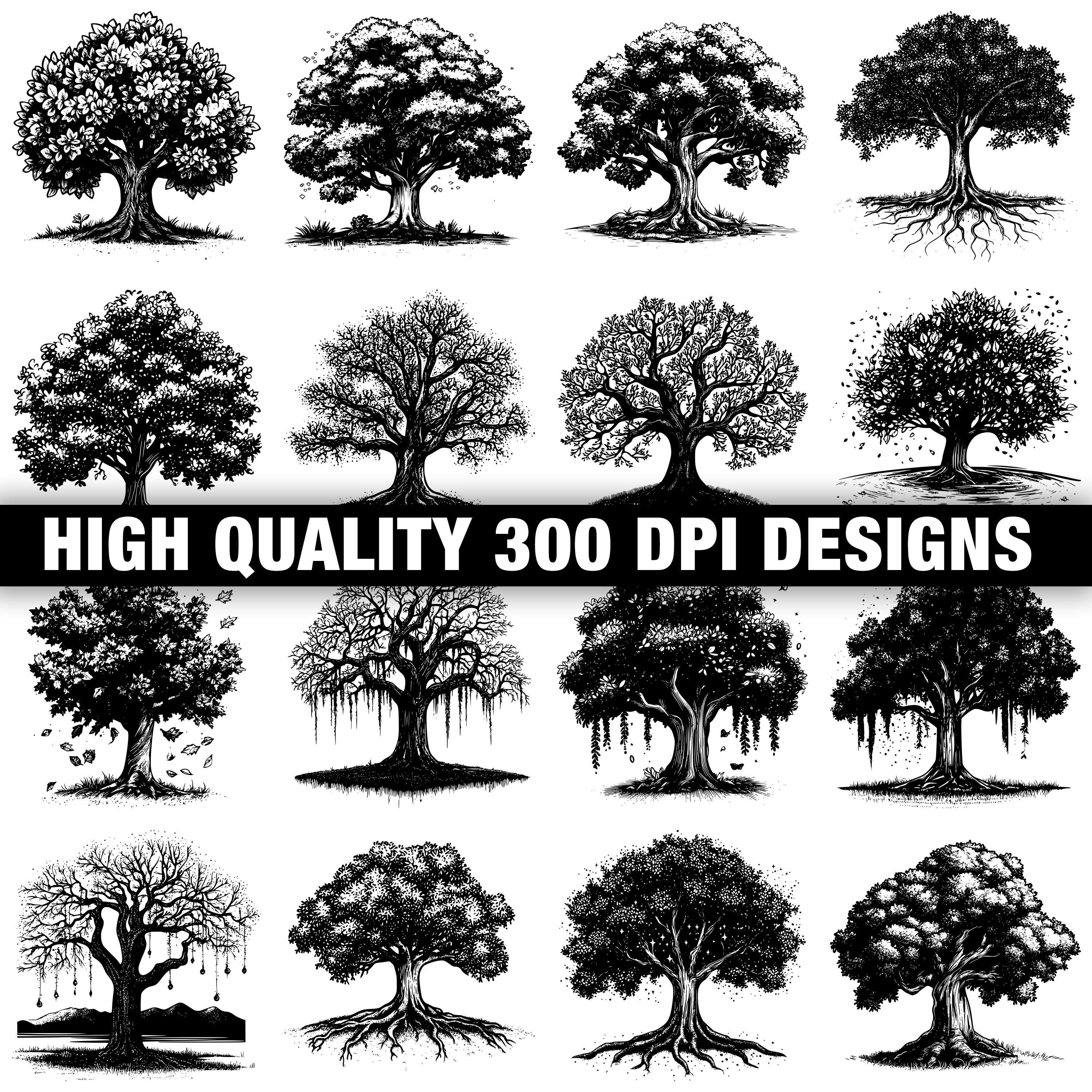 117+ Oak Tree Svg, Png, Dxf, Eps Designs Bundle | Instant Digital ...