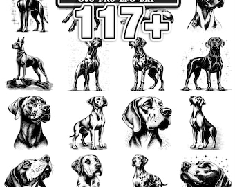Más de 117 diseños de perros gran danés en SVG, PNG, DXF y EPS / Descarga digital instantánea