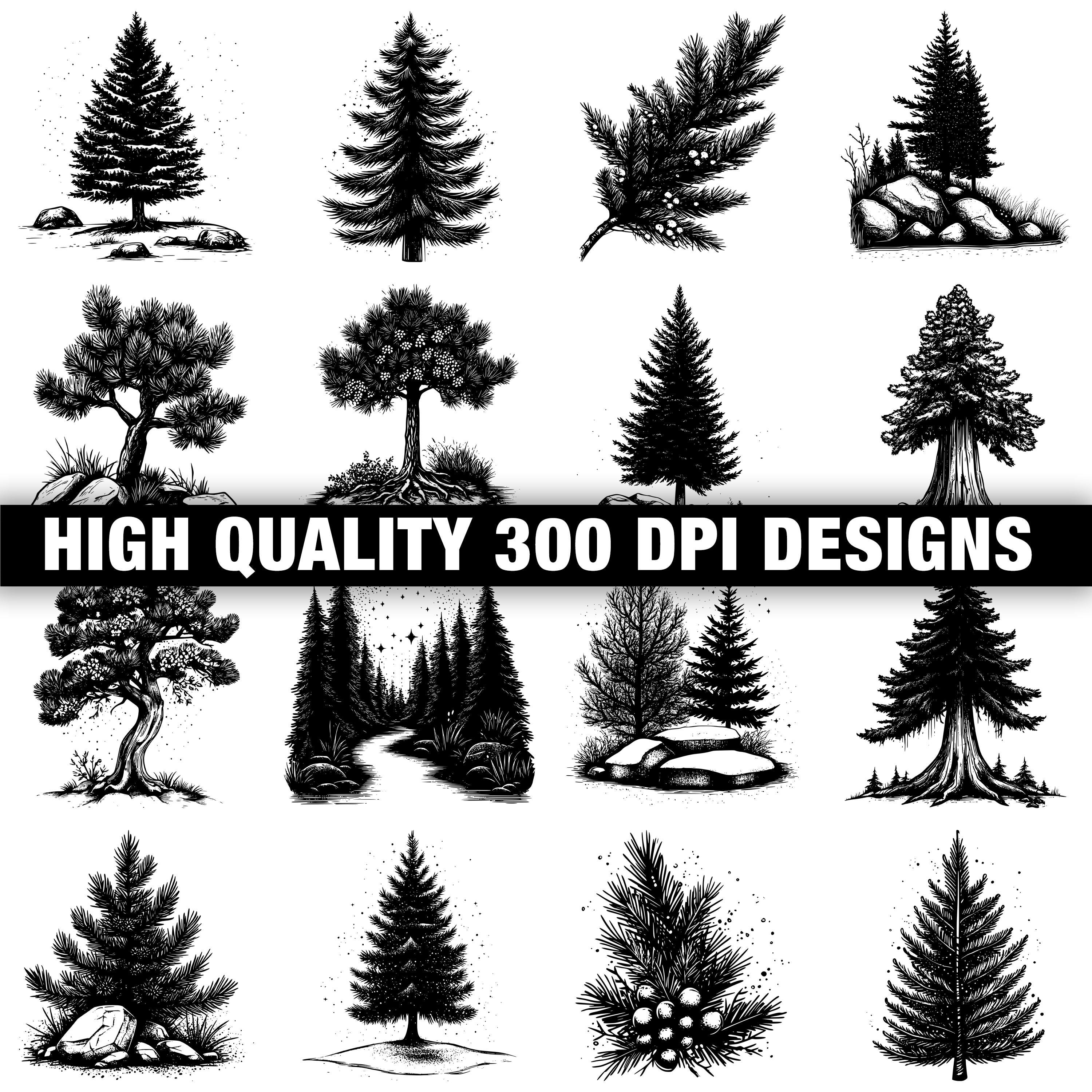 117+ Cedar Tree Svg, Png, Dxf, Eps Designs Bundle | Instant Digital ...