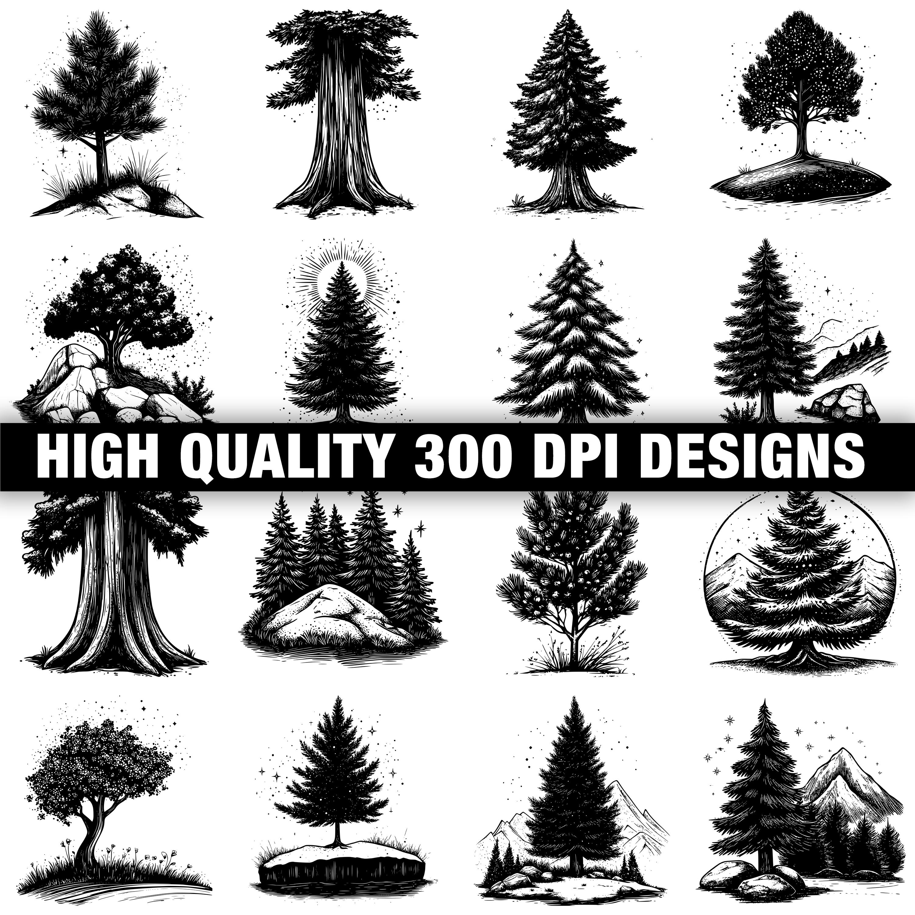 117+ Cedar Tree Svg, Png, Dxf, Eps Designs Bundle | Instant Digital ...