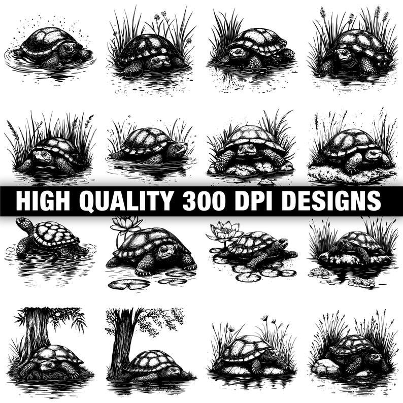 Snapper Turtle Dxf 117+ American Snapping Turtle Svg, Png, Dxf, Eps Designs Bundle ...