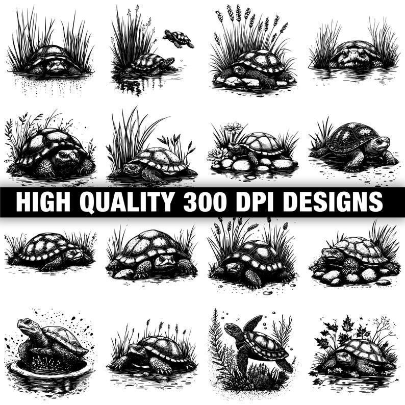 Snapper Turtle Dxf 117+ American Snapping Turtle Svg, Png, Dxf, Eps Designs Bundle ...