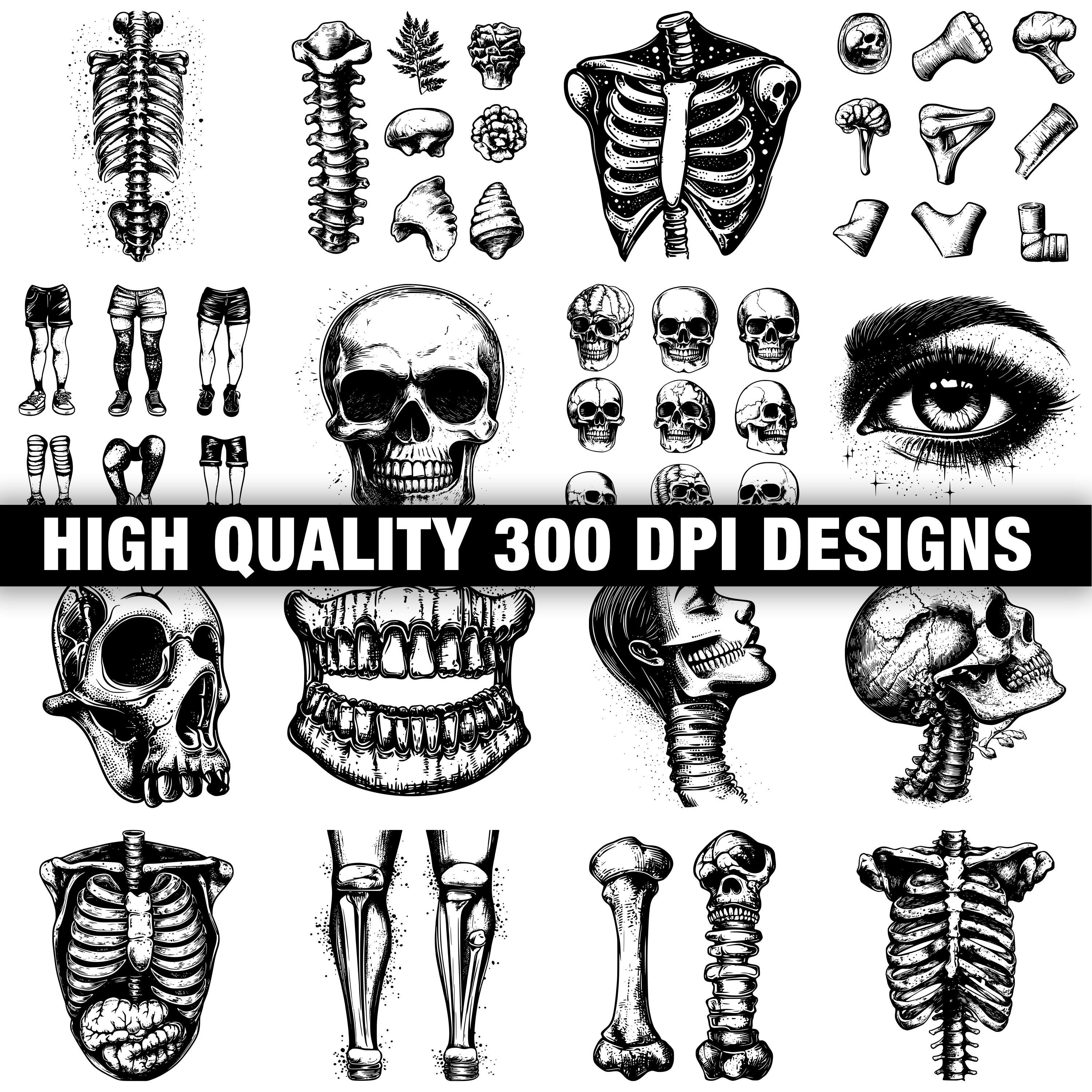 Body Parts Svg Bundle | 117+ Svg Png Eps Dxf Clipart | Instant Digital ...