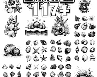 117+ Beach Seashells svg, png, dxf, eps designs bundle | Instant Digital Download