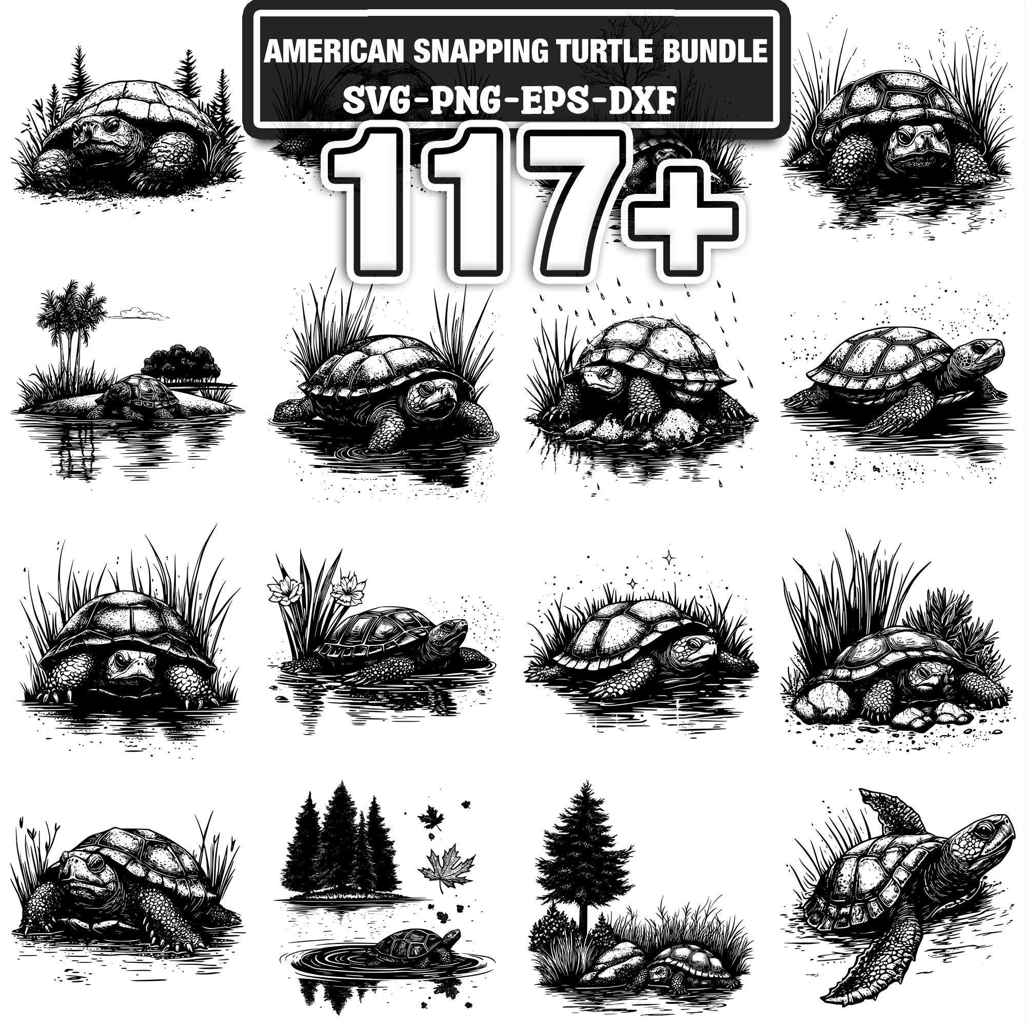 Snapper Turtle Dxf 117+ American Snapping Turtle Svg, Png, Dxf, Eps Designs Bundle ...