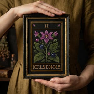 Può includere: Un ricamo a punto croce incorniciato che presenta un'illustrazione botanica di una pianta di belladonna con fiori viola, foglie verdi e bacche scure su sfondo nero. Il testo II e BELLADONNA è ricamato in filo dorato entro un bordo.