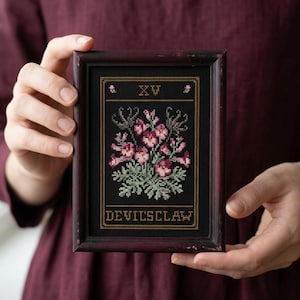 May include: A framed cross-stitch featuring a floral design with pink and purple flowers, green foliage, and the text "DEVIL'SCLAW". The frame is dark brown, and the background is black. The text "XV" is at the top.