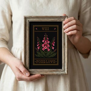 May include: A framed cross-stitch featuring a foxglove design. The artwork displays pink and red flowers with green leaves against a black background. The frame is a light brown color, and the text "VIII" and "FOXGLOVE" are visible.