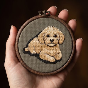 Maltipoo Korsstygnsmönster - Liten Liggande Hund
