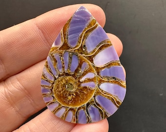 Ammonite with Purple Mollusk Inlay