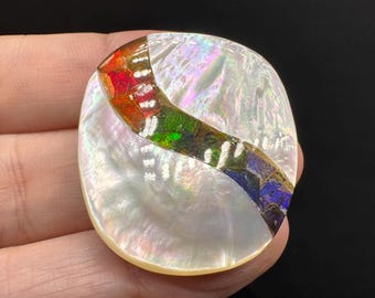 Mother of Pearl with Canadian Ammolite Inlay