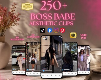 Más de 250 clips de Boss Babe Reels (descarga digital)