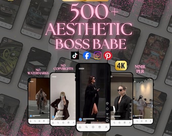500+ Luxury Lifestyle Reels: Boss Babe (MRR & PLR) (Digital Download)
