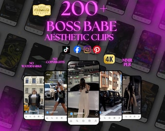 200+ clips voor Boss Babe Reels (digitale download) MMR PLR