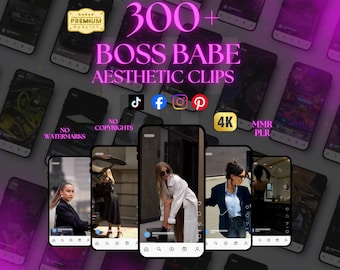 Boss Babe Reels-bundel: 300+ gezichtsloze videoclips (digitale download)