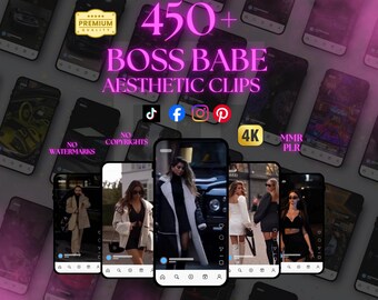 450+ clips voor Boss Babe-reels (digitale download)