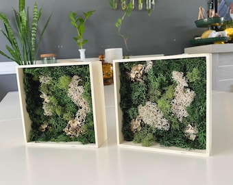 Preserved Moss Frames – Maintenance-Free Decor