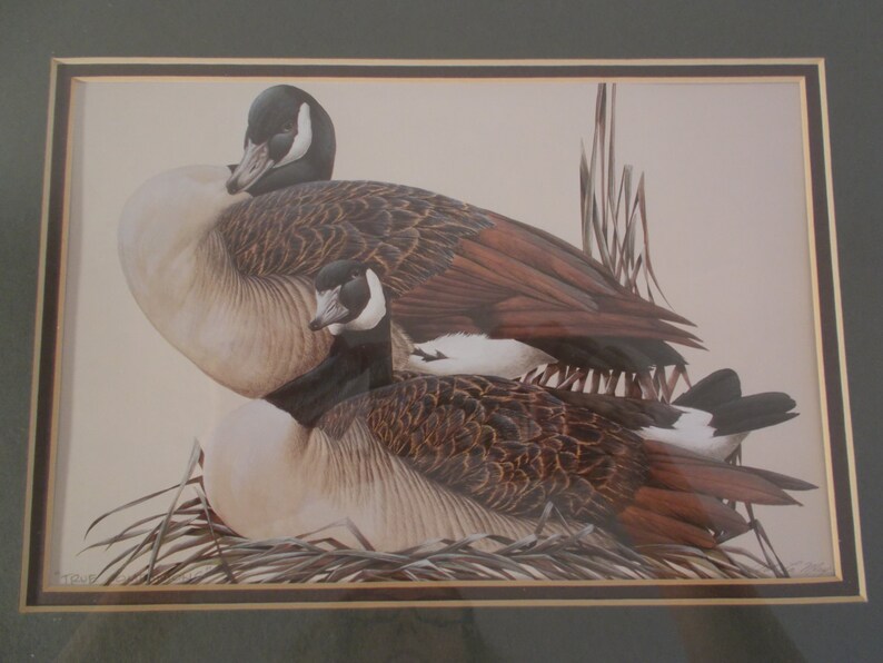 Vintage Duck Art Print Set Framed Signed Art Lamay Picture Etsy