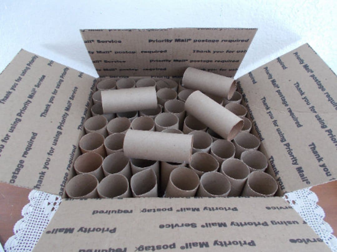 Toilet Paper Cardboard Rolls Clean DIY Craft Supply Church School Kids