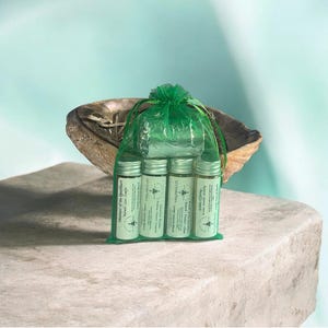 Puede incluir: Una bolsa de malla verde que contiene cuatro botellas de vidrio pequeñas con tapas plateadas. Cada botella tiene una etiqueta con texto. La bolsa está sobre una superficie de piedra, con una concha grande, texturizada y marrón en el fondo.